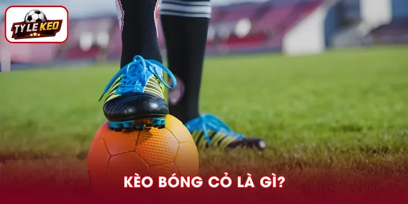 Kèo Bóng Cỏ Là Gì? Hướng Dẫn Đọc Và Soi Tỷ Lệ Chính Xác