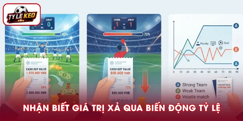 Cách nhận biết giá trị xả thay đổi qua tỷ lệ