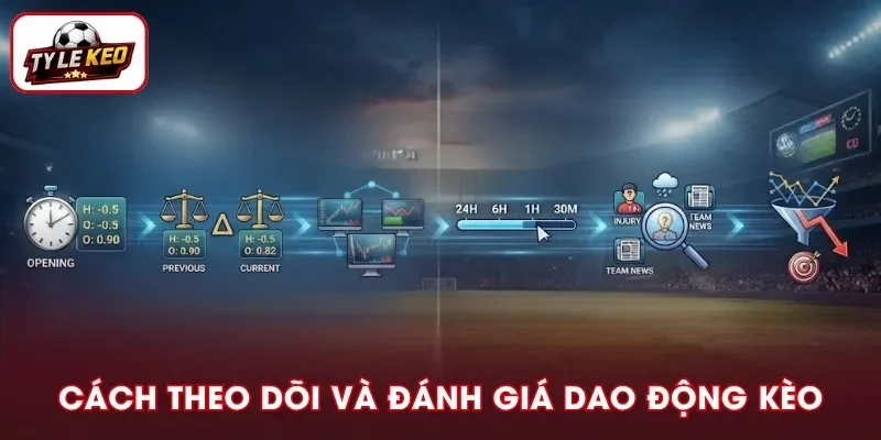 Quy trình theo dõi và đánh giá biến động tỷ lệ