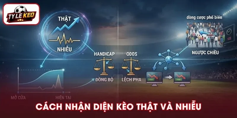 Cách phân biệt biến động kèo thật và nhiễu qua tín hiệu thị trường