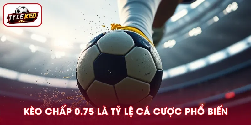 Kèo chấp 0.75 là kèo châu Á trong đó tiền cược được chia đều cho -0.5 và -1.0