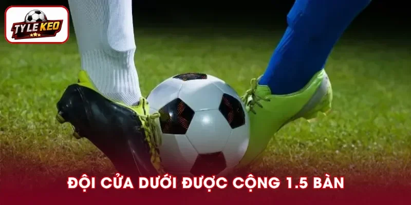 Đội cửa dưới được cộng 1.5 bàn