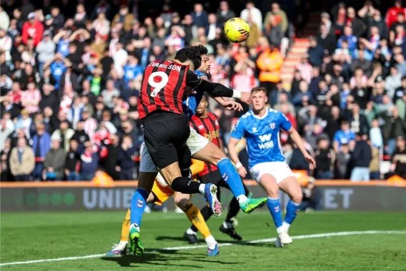 Bournemouth được đánh giá cao hơn Sunderland